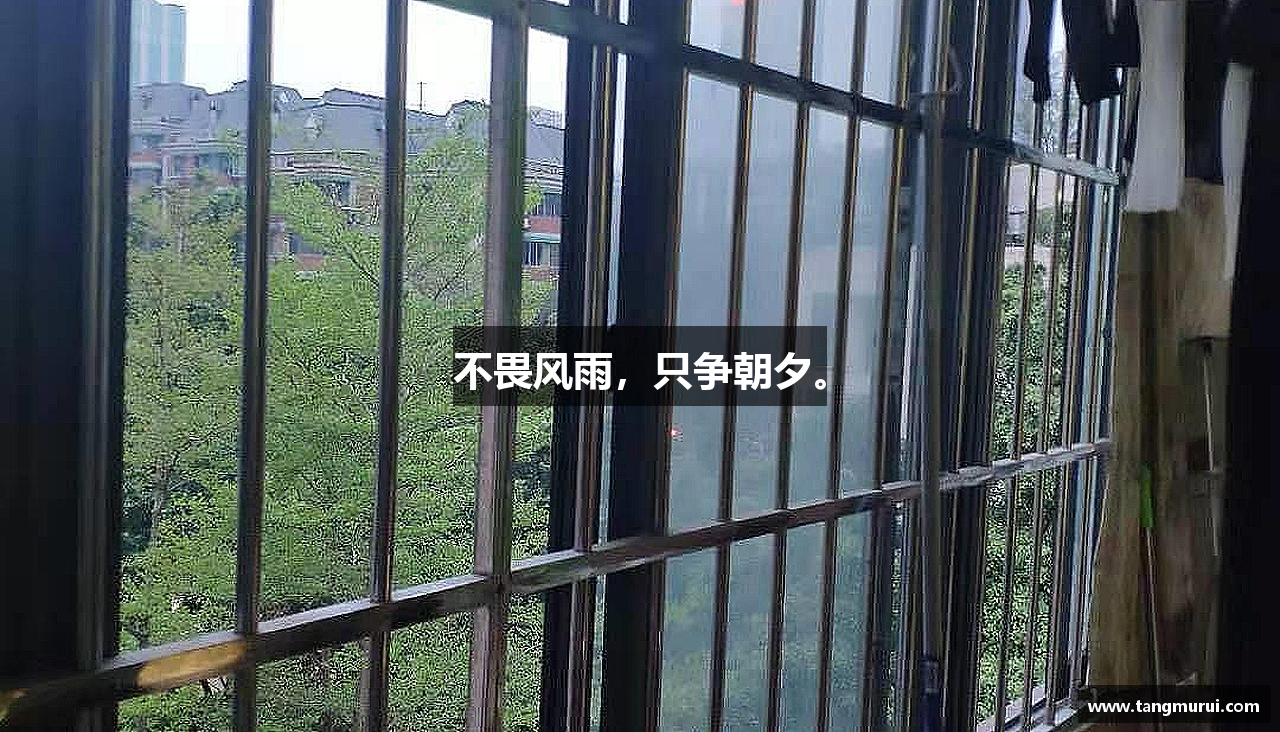 不畏风雨，只争朝夕。